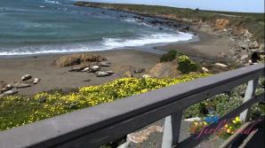 Nicole Nichols Central Cali Part 3